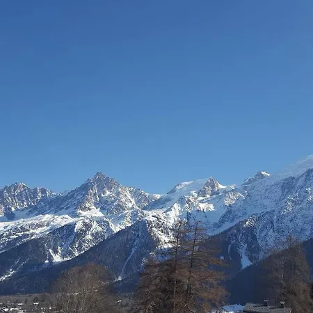 Lejlighed Spacious And Stylish Flat At The Foot Of The Mont-blanc Ideal For In Out Les Houches